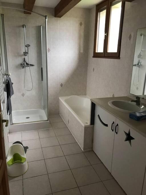 La Fermette Aux Lamas Savigny-Lévescault Extérieur photo